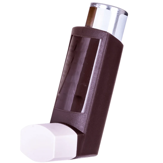 Clenil Modulite inhaler